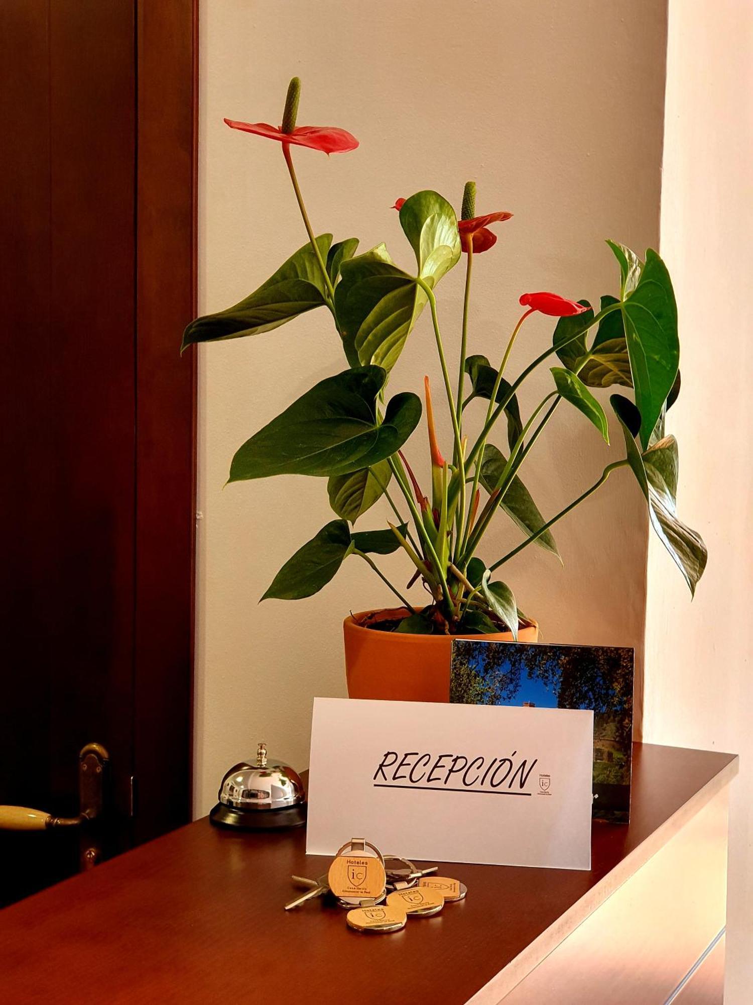 Hotel-Restaurante Casa Garcia アルモナステール・ラ・レアル エクステリア 写真
